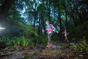 BIB: 
                            <button type="button" onclick="openModal(19241796)" class="btn btn-primary btn-sm float-right btn-popup" data-toggle="modal" data-target=".modal-high-quality">
                        <i class="fas fa-shopping-cart"></i> Add to Cart
                    </button>
                                            <button type="button" onclick="isThisMe(19241796, true)" class="btn btn-success btn-sm float-right btn-popup btn-isme hidden" data-toggle="tooltip" data-placement="bottom" title="นี่คือรูปของคุณใช่ไหม คลิกที่นี่เพื่อเอาเข้าอัลบั้ม">
                        <i class="fas fa-plus"></i> Add to album
                    </button>
                    <button type="button" onclick="isThisMe(19241796, false)" class="btn btn-warning btn-sm float-right btn-popup btn-isnotme hidden">
                        <i class="fas fa-ban"></i> Remove from album
                    </button>